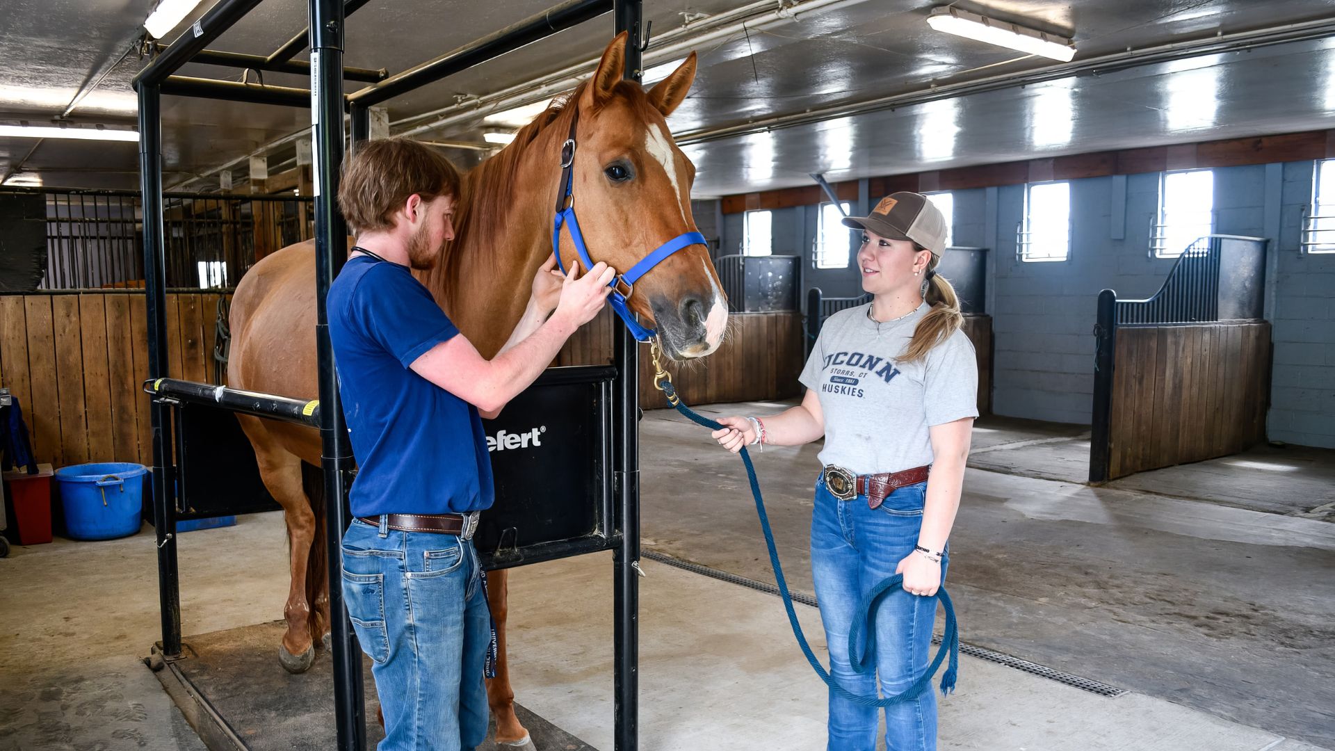 Two students working together with a horse inside of a barn.