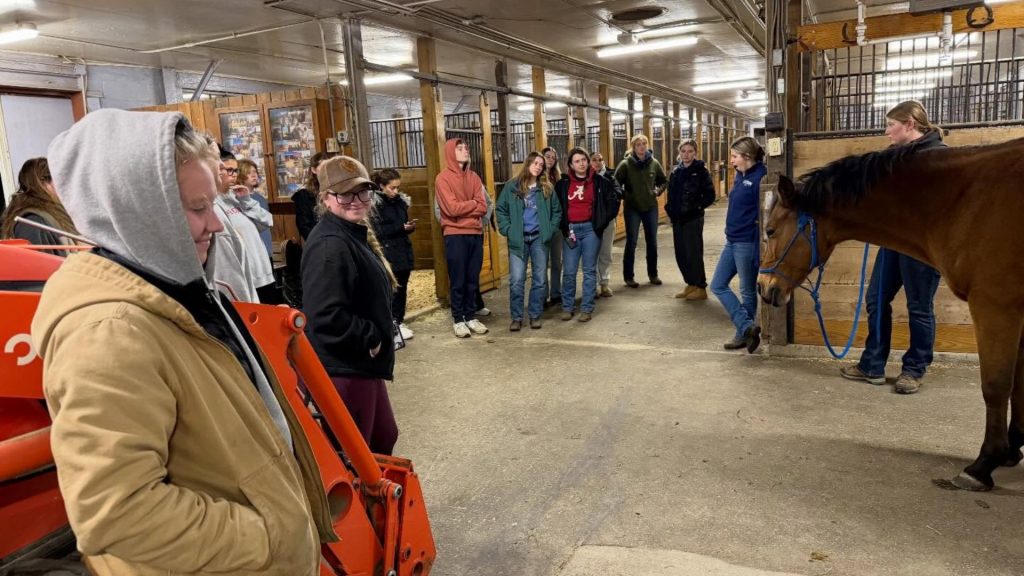 Students watch a horse demonstration inside of an animal unit.